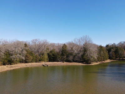 Land For Sale Texas Fannin Co Acreage Investment Recreation - image 2