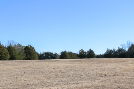 Land For Sale Texas Fannin Co Acreage Investment Recreation - image 32