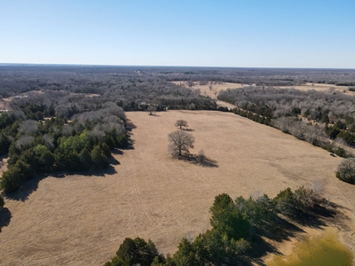 Land For Sale Texas Fannin Co Acreage Investment Recreation - image 11
