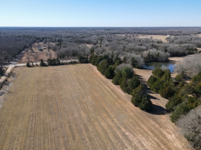 Land For Sale Texas Fannin Co Acreage Investment Recreation - image 13