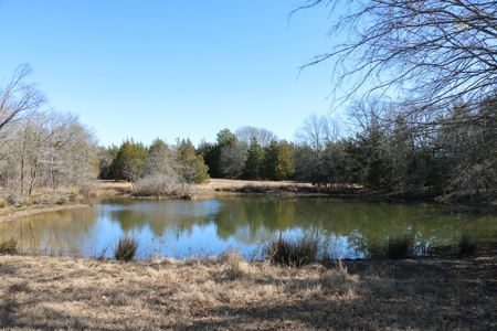 Land For Sale Texas Fannin Co Acreage Investment Recreation - image 33