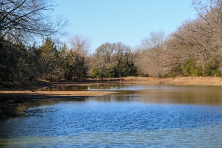Land For Sale Texas Fannin Co Acreage Investment Recreation - image 29