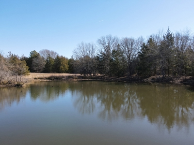 Land For Sale Texas Fannin Co Acreage Investment Recreation - image 21