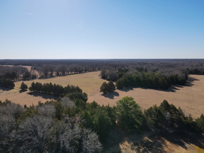 Land For Sale Texas Fannin Co Acreage Investment Recreation - image 4
