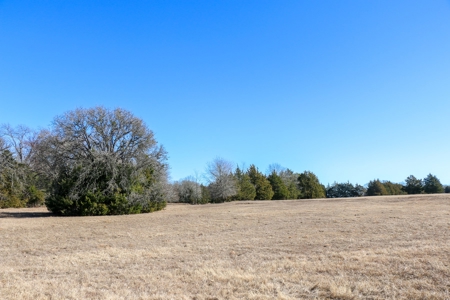 Land For Sale Texas Fannin Co Acreage Investment Recreation - image 30