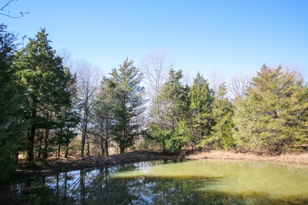 Land For Sale Texas Fannin Co Acreage Investment Recreation - image 34
