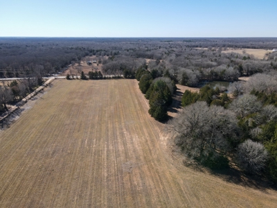 Land For Sale Texas Fannin Co Acreage Investment Recreation - image 14