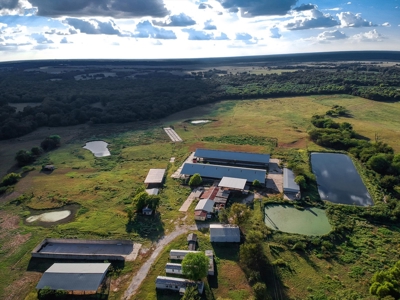 Mount Vernon Texas Land Auction Land for Sale - image 1