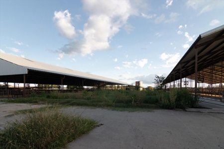 Mount Vernon Texas Land Auction Land for Sale - image 7