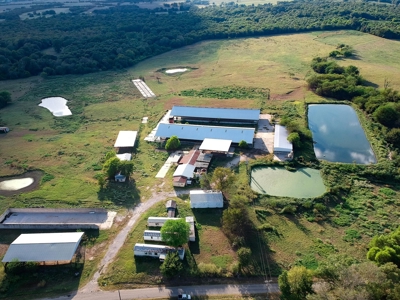 Mount Vernon Texas Land Auction Land for Sale - image 3