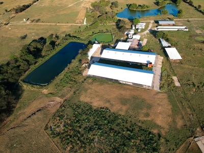 Mount Vernon Texas Land Auction Land for Sale - image 2