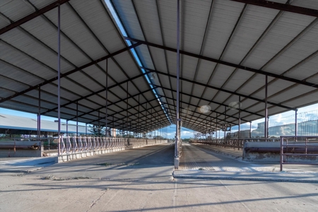 Mount Vernon Texas Land Auction Land for Sale - image 9