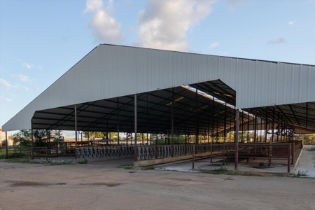 Mount Vernon Texas Land Auction Land for Sale - image 8