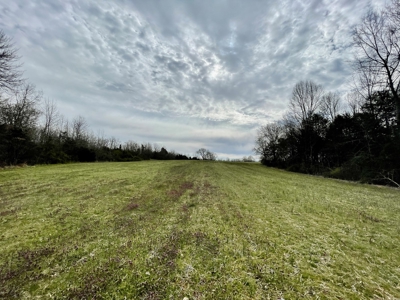 Warren County Kentucky Farm For Sale At Auction - image 33