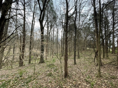 Warren County Kentucky Farm For Sale At Auction - image 24