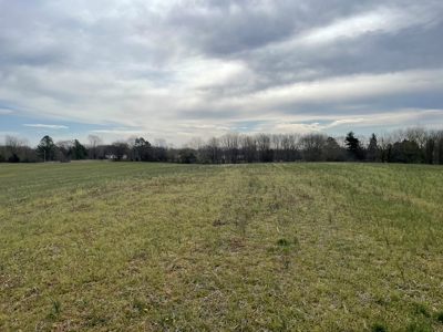 Warren County Kentucky Farm For Sale At Auction - image 11