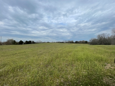 Warren County Kentucky Farm For Sale At Auction - image 9