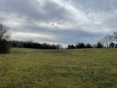 Warren County Kentucky Farm For Sale At Auction - image 21