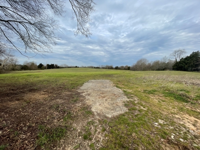 Warren County Kentucky Farm For Sale At Auction - image 4