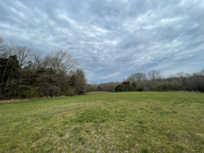 Warren County Kentucky Farm For Sale At Auction - image 29