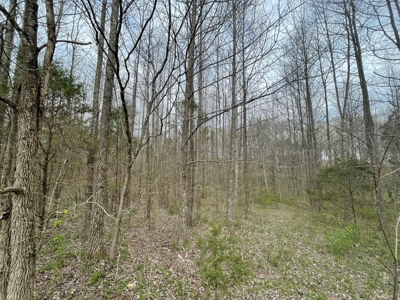 Warren County Kentucky Farm For Sale At Auction - image 17