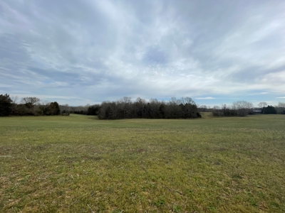Warren County Kentucky Farm For Sale At Auction - image 12