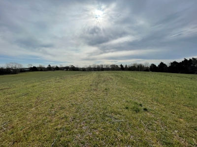 Warren County Kentucky Farm For Sale At Auction - image 10