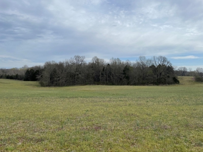 Warren County Kentucky Farm For Sale At Auction - image 13