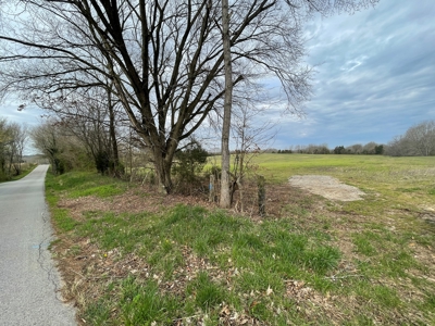 Warren County Kentucky Farm For Sale At Auction - image 3