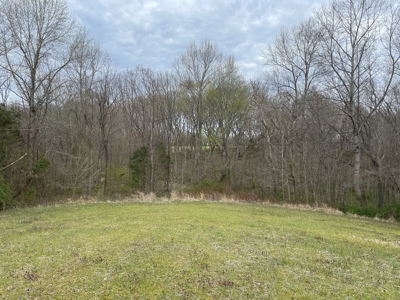 Warren County Kentucky Farm For Sale At Auction - image 32