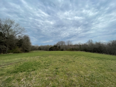 Warren County Kentucky Farm For Sale At Auction - image 30