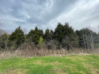 Warren County Kentucky Farm For Sale At Auction - image 23