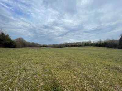 Warren County Kentucky Farm For Sale At Auction - image 14