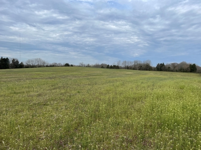 Warren County Kentucky Farm For Sale At Auction - image 8