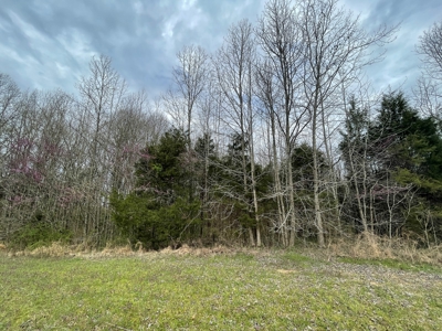 Warren County Kentucky Farm For Sale At Auction - image 16