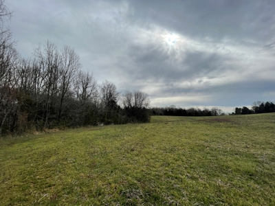 Warren County Kentucky Farm For Sale At Auction - image 22
