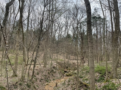 Warren County Kentucky Farm For Sale At Auction - image 26
