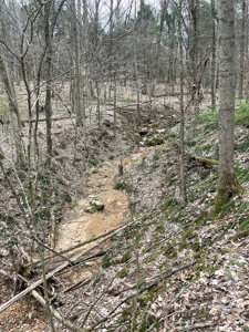 Warren County Kentucky Farm For Sale At Auction - image 25