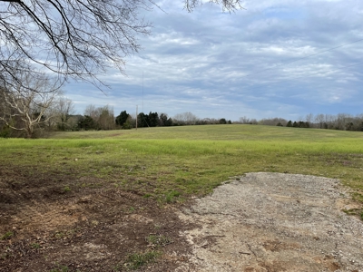 Warren County Kentucky Farm For Sale At Auction - image 6