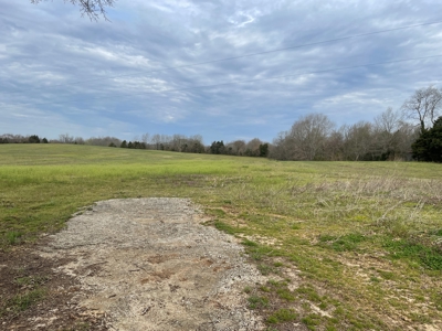 Warren County Kentucky Farm For Sale At Auction - image 5