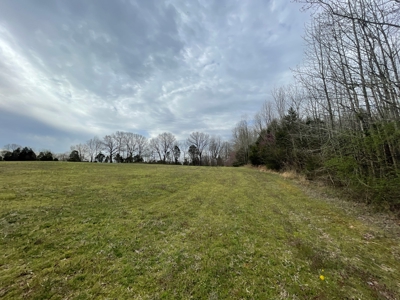 Warren County Kentucky Farm For Sale At Auction - image 20