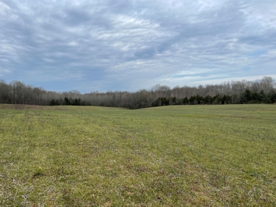 Warren County Kentucky Farm For Sale At Auction - image 15