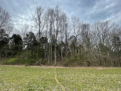 Warren County Kentucky Farm For Sale At Auction - image 31