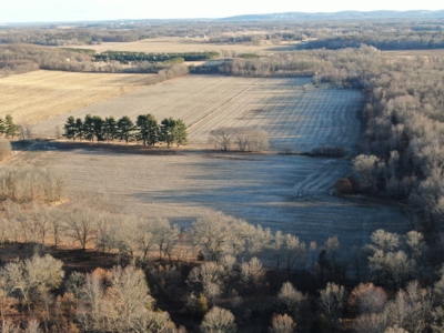 320 Acre Columbia County Farm Live Auction April 29th 2022 1 - image 2