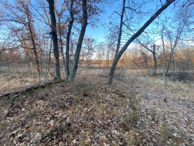 320 Acre Columbia County Farm Live Auction April 29th 2022 1 - image 15