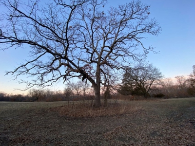 320 Acre Columbia County Farm Live Auction April 29th 2022 1 - image 9