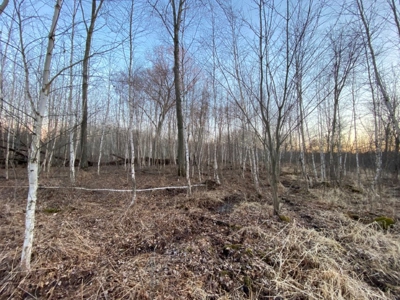 320 Acre Columbia County Farm Live Auction April 29th 2022 1 - image 48