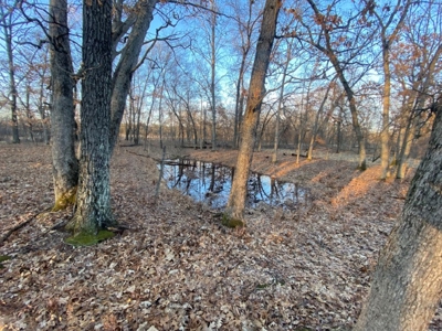 320 Acre Columbia County Farm Live Auction April 29th 2022 1 - image 14