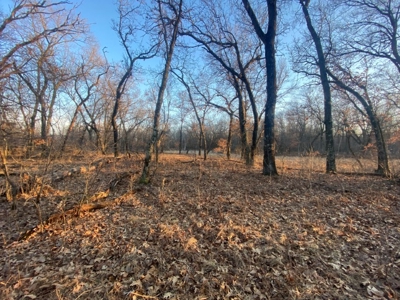 320 Acre Columbia County Farm Live Auction April 29th 2022 1 - image 17