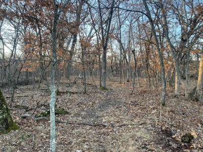 320 Acre Columbia County Farm Live Auction April 29th 2022 1 - image 13